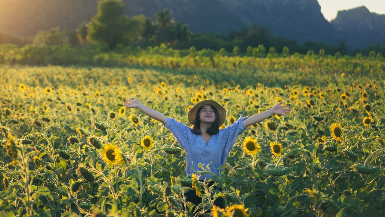 A young woman in sunflower fields; image used for dual currency investments.